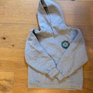 Raquette Lake Gray Hoodie with Green Logo